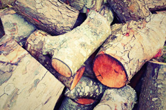 Green Side wood burning boiler costs